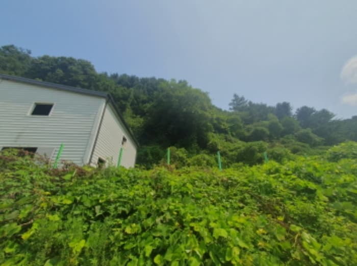 경기도 가평군 북면 백둔리 93-8