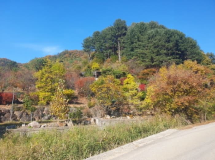 경기도 가평군 설악면 봉미산안길 235-2