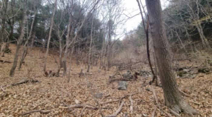 경기도 가평군 북면 백둔리 446-1