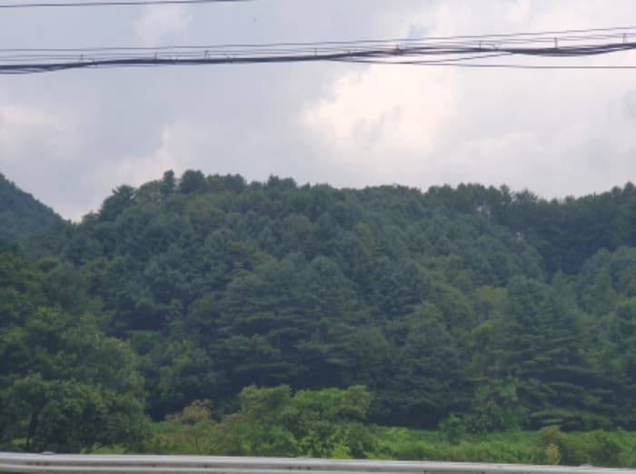 경기도 가평군 북면 도대리 산113