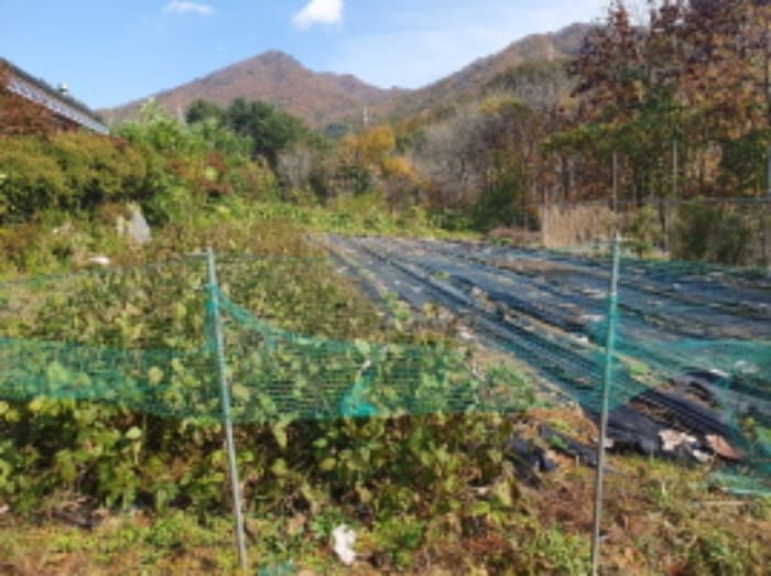 경기도 남양주시 수동면 입석리 697-3