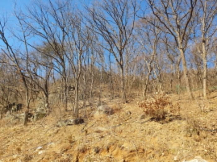 경기도 가평군 청평면 호명리 382-33