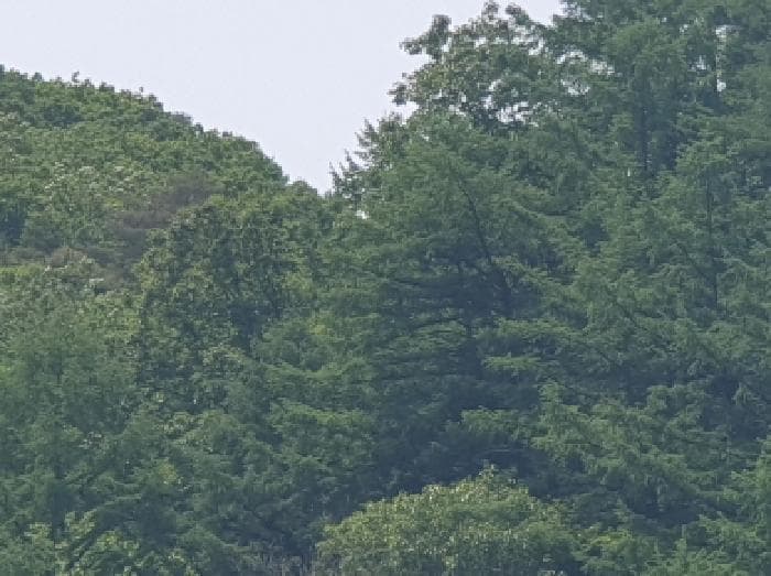 경기도 가평군 상면 임초리 산116