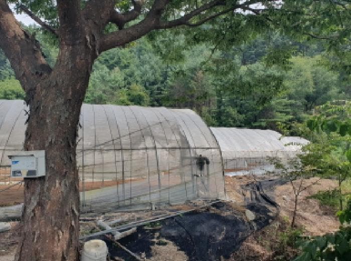 경기도 가평군 조종면 신하리 464