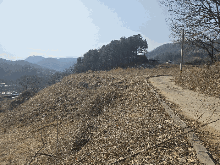 경기도 가평군 조종면 신상리 243-5