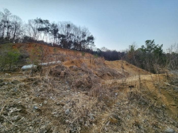 경기도 남양주시 진접읍 장현리 산65