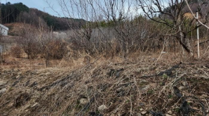 경기도 가평군 설악면 선촌리 431